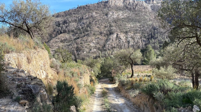 Tarragona - Paüls - 26231m2