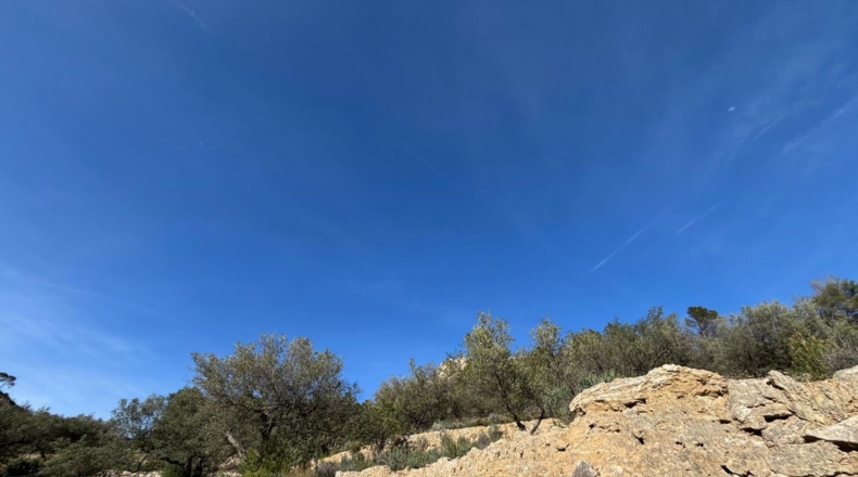Tarragona - Paüls - 26231m2