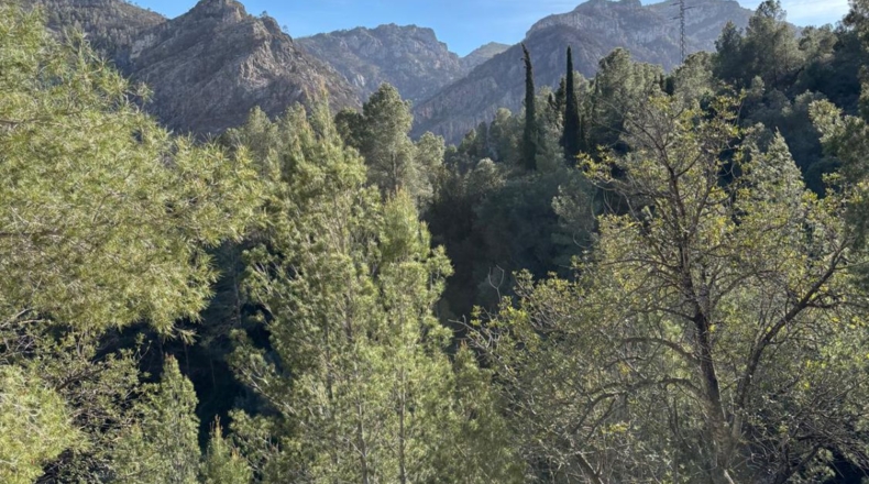 Tarragona - Paüls - 26231m2