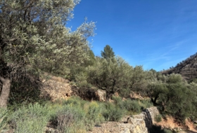 Foto 18