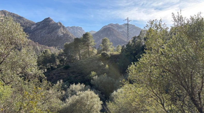 Tarragona - Paüls - 26231m2