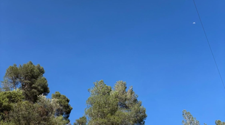 Tarragona - Paüls - 26231m2