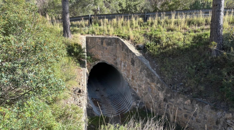 Tarragona - Paüls - 26231m2
