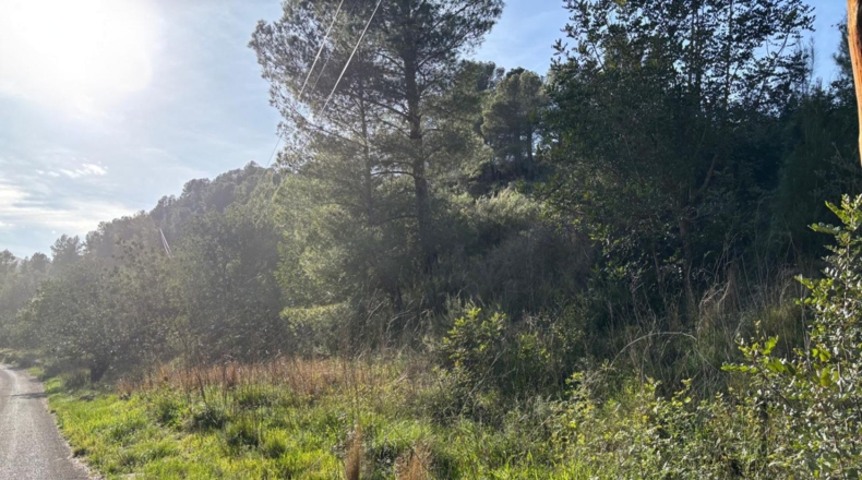 Tarragona - Paüls - 26231m2