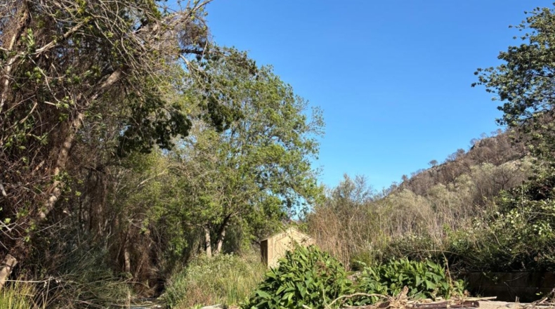 Tarragona - Paüls - 26231m2