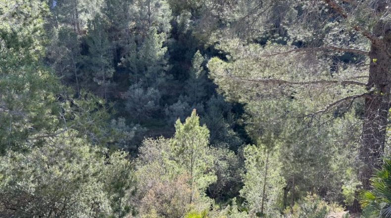 Tarragona - Paüls - 26231m2