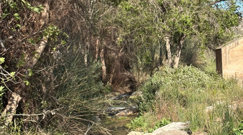 Tarragona - Paüls - 26231m2