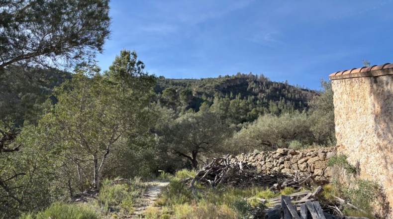 Tarragona - Paüls - 26231m2