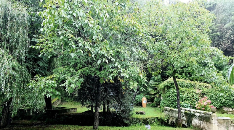 Cantabria - Selores - 209m2