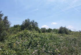 Juneda 2200&nbsp;m²