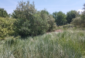 Juneda 2200&nbsp;m²