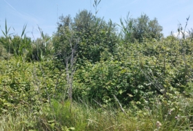 Juneda 2200&nbsp;m²