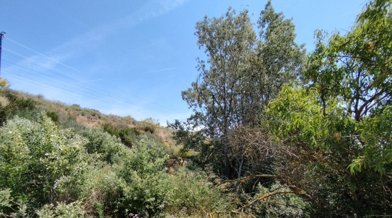 Lérida - Puigverd de Lleida - 2300m2