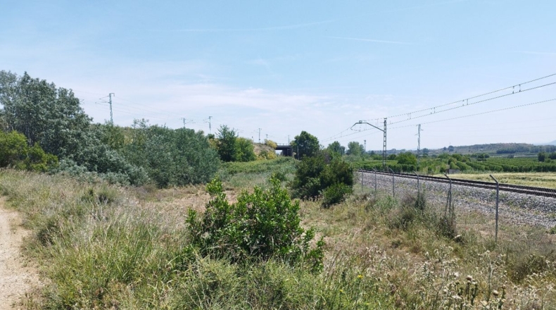 Lérida - Puigverd de Lleida - 2300m2