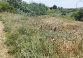 Terreno no urbanizable en venta en la España, Puigverd de Lleida, ref: TR410959 foto