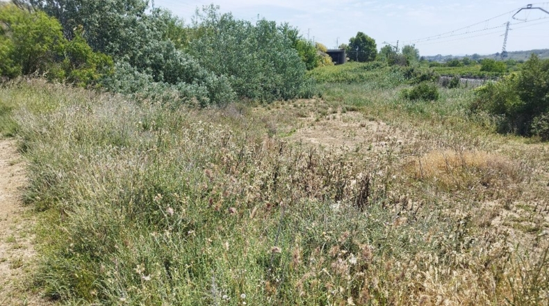 Lérida - Puigverd de Lleida - 2300m2