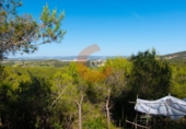 Chalet independiente con terreno en venta en la Bisbal del Penedès ref: TR59183 foto