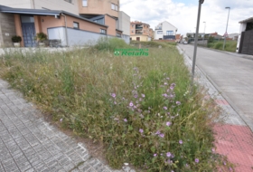 Ciudad Rodrigo 160&nbsp;m² 