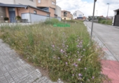 Suelo urbano en venta en la España, Ciudad Rodrigo, ref: TR410974 foto