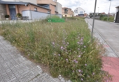 Suelo urbano en venta en la España, Ciudad Rodrigo, ref: TR410974 foto