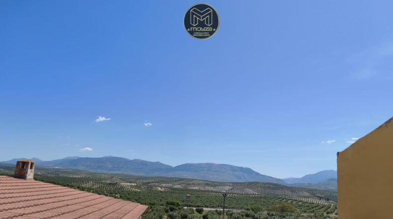 Jaén - Хаэн - 1950m2