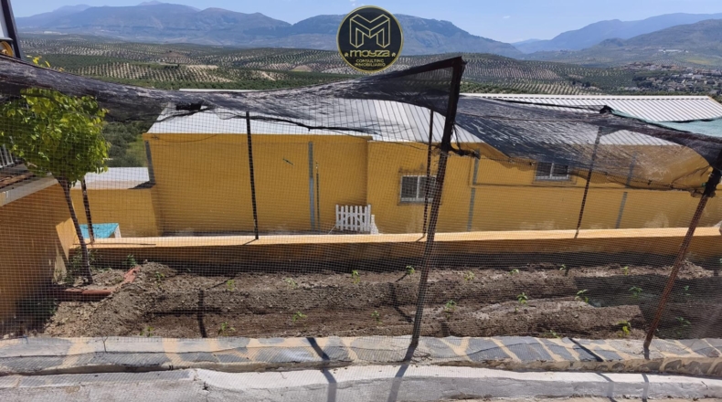 Jaén - Хаэн - 1950m2