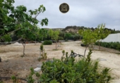 Xalet independent amb terreny en venda a Jaén ref.: TR16742 foto