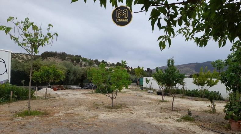 Málaga - Arroyo de la Miel - 600m2