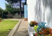Village house for sale in Pinares de Lepe ref: TR410989 photo