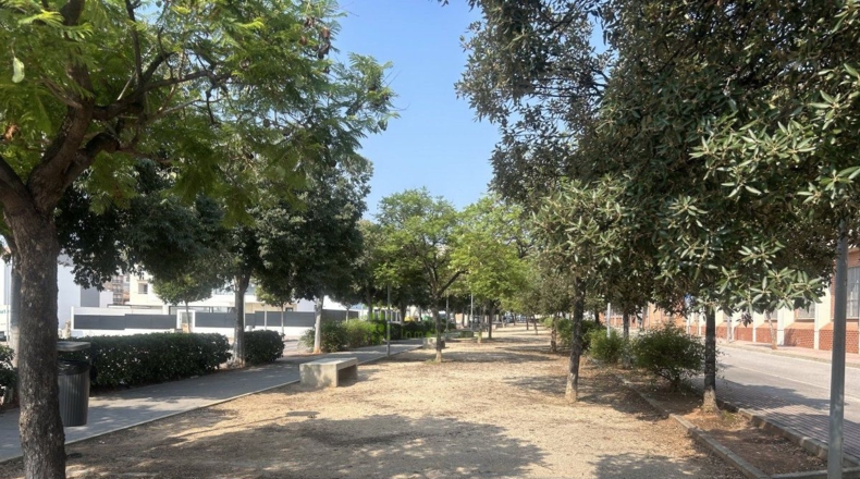 Castellón - la Vall d'Uixó - 459m2