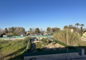 Xalet independent amb terreny en venda a Oliva ref.: TR353561 foto