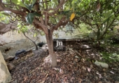 Finca rústica en venta en Pozohondo ref: TR410990 foto