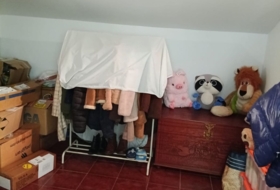 Foto 19