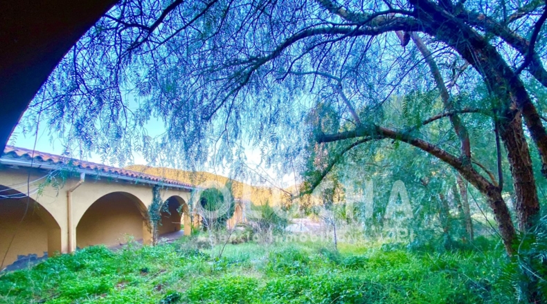 Castellón - Artana - 296m2