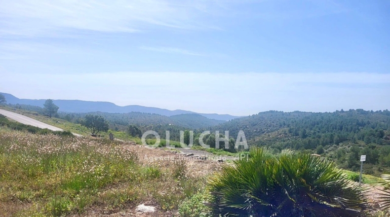 Castellón - Costur - 522m2