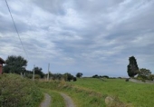 Non-developable land for sale in Villaviciosa ref: TR109099 photo