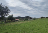 Non-developable land for sale in Villaviciosa ref: TR109099 photo