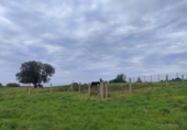 Non-developable land for sale in Villaviciosa ref: TR109099 photo