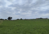 Non-developable land for sale in Villaviciosa ref: TR109099 photo