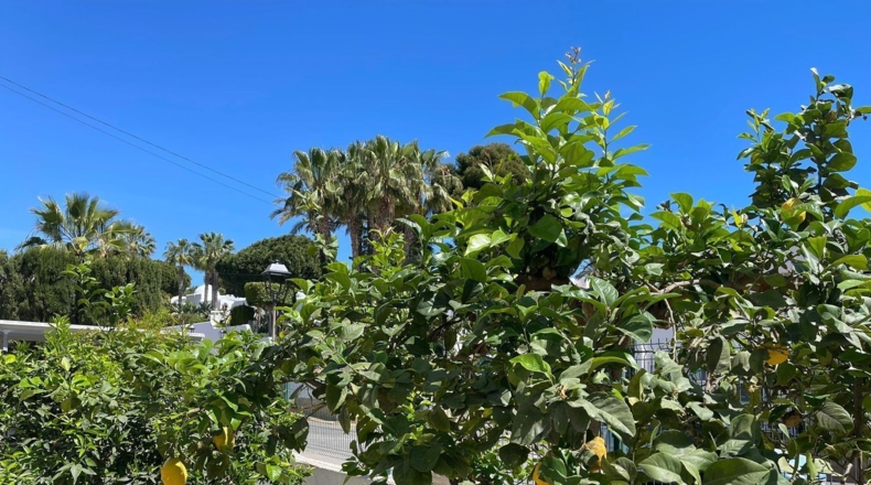 Almería - Mojácar - 500m2