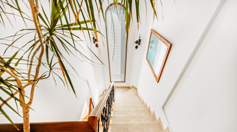 Cádiz - Чиклана-де-ла-Фронтера - 606m2