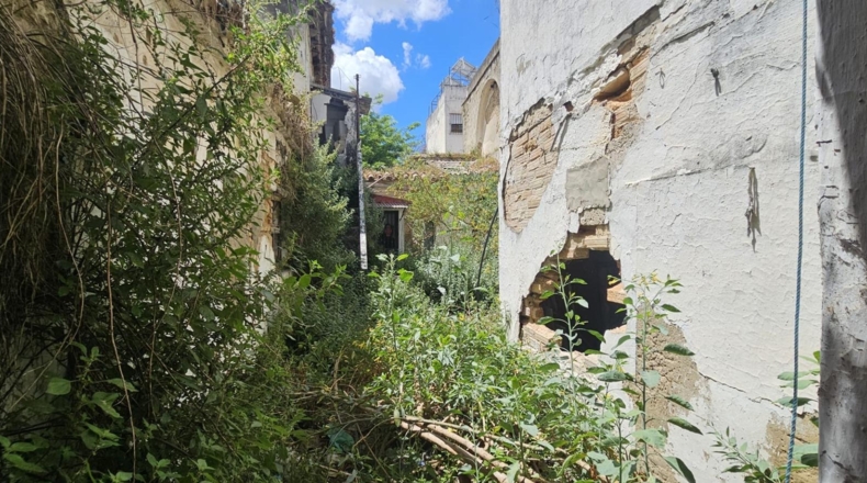 Cádiz - Jerez de la Frontera - 590m2