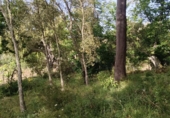 Non-developable land for sale in Los Marines ref: TR411026 photo