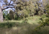 Non-developable land for sale in Los Marines ref: TR411026 photo