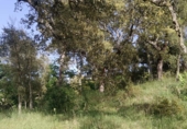 Non-developable land for sale in Los Marines ref: TR411026 photo