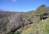 Terreno no urbanizable en venta en la España, Caseres, ref: TR411028 foto