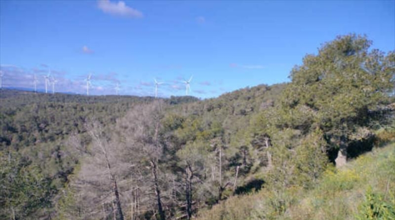 Tarragona - Caseres - 512351m2