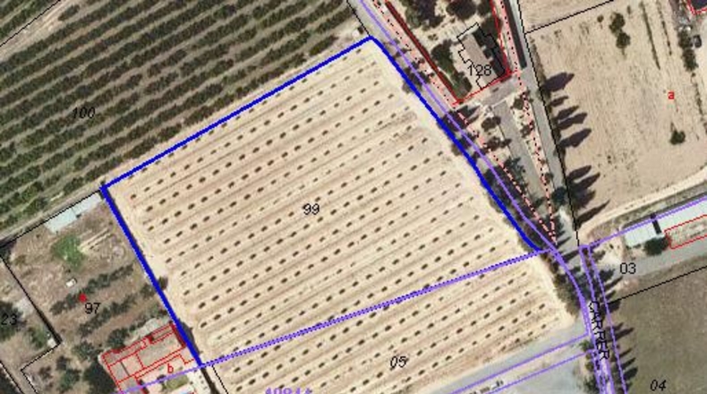 Tarragona - Benissanet - 12490m2