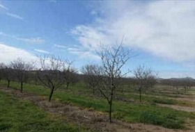 Benissanet 12490&nbsp;m² 