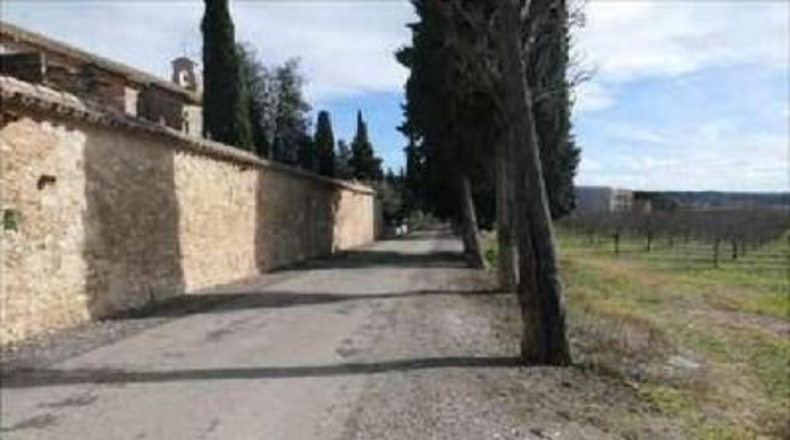 Tarragona - Benissanet - 12490m2